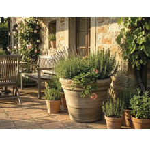 Grand pot de fleurs en terre cuite avec lavande, romarin et géraniums sur une terrasse en pierre claire avec meubles de jardin en bois.