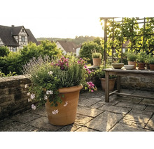 Grand pot de fleurs en terre cuite sur une terrasse en pierre avec lavande et herbes, table en bois et treillis en arrière-plan.