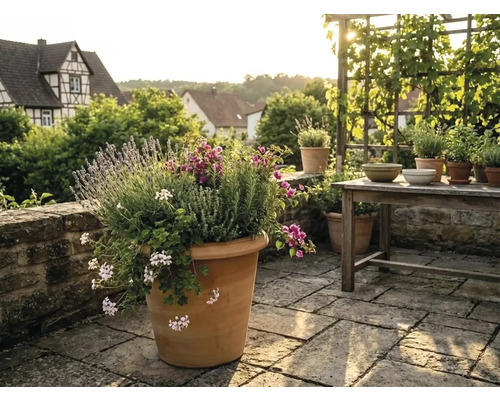 Grand pot de fleurs en terre cuite sur une terrasse en pierre avec lavande et herbes, table en bois et treillis en arrière-plan.