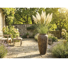 Herbe de la pampa haute dans un vase texturé sur une terrasse en pierre claire dans le jardin avec meubles en bois et lavande.