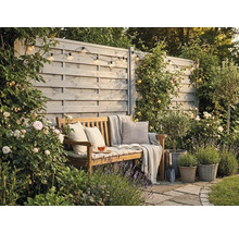 Coin de jardin accueillant avec banc en bois, coussins et couverture devant une clôture en bois grise, entouré de roses et de lavande.