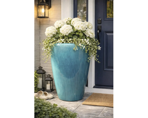 Grand pot de fleurs en céramique émaillée bleue avec des hortensias blancs et des plantes tombantes devant une porte.