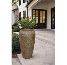 Grand pot de fleurs en forme de vase avec texture de surface, planté d'une Strelitzia sur une terrasse en pierre devant l'entrée d'une maison.