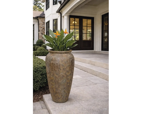 Grand pot de fleurs en forme de vase avec texture de surface, planté d'une Strelitzia sur une terrasse en pierre devant l'entrée d'une maison.
