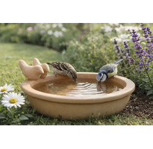 Abreuvoir pour oiseaux en terre cuite avec figurines d'oiseaux, deux oiseaux boivent de l'eau dans un jardin fleuri.