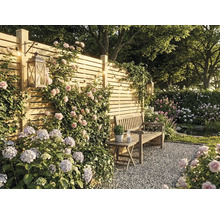 Jardin lumineux avec clôture en bois, rosiers grimpants et hortensias. Banc en bois sur gravier avec lanternes décoratives et guirlande lumineuse.