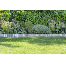 Bordure de pelouse en métal séparant le gazon d'un massif de vivaces et d'arbustes devant une haie.