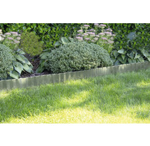 Bordure de pelouse ondulée en métal séparant une pelouse d'un massif de jardin avec diverses plantes et arbustes.