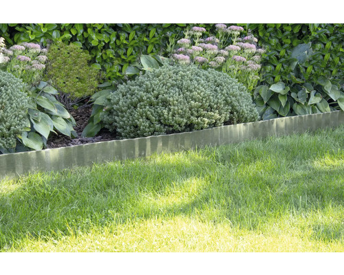 Bordure de pelouse ondulée en métal séparant une pelouse d'un massif de jardin avec diverses plantes et arbustes.