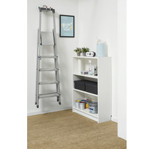 Organiséiert Stockage mat engem wäisse Regal an enger Aluminium-Leeder déi un der Mauer hänkt. Am Regal si Faarwen a Boxen.