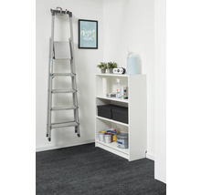 Organisierte Aufbewahrung mit einem weißen Regal und einer an der Wand hängenden Aluminiumleiter, bestückt mit Farbdosen und Aufbewahrungsboxen.