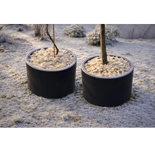 Deux pots de fleurs ronds avec protection hivernale en paillis sur un sol de jardin givré.