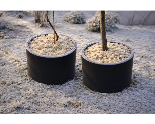 Deux pots de fleurs ronds avec protection hivernale en paillis sur un sol de jardin givré.