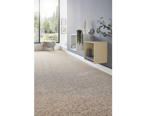 Pièce de vie lumineuse avec moquette beige texturée, mur gris, étagères murales et grande baie vitrée.
