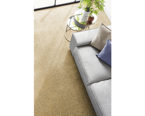 Salon moderne avec moquette beige, canapé gris avec coussins et table d'appoint ronde en verre avec une plante.