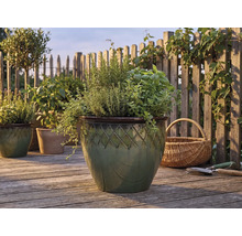 Herbes aromatiques telles que le romarin et le basilic dans un pot en céramique émaillée à motifs sur une terrasse en bois devant une clôture.
