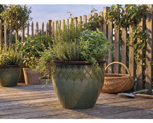 Herbes aromatiques telles que le romarin et le basilic dans un pot en céramique émaillée à motifs sur une terrasse en bois devant une clôture.