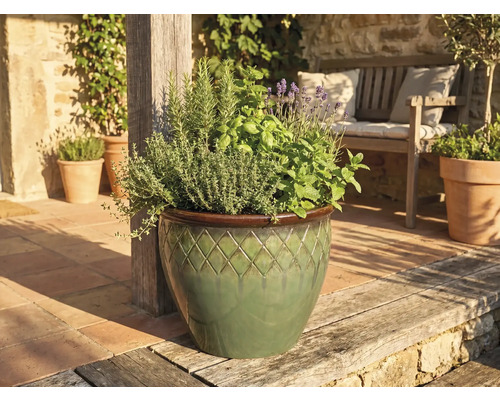 Pot en céramique avec motif en losanges, garni de plantes aromatiques et lavande, sur une terrasse lumineuse à côté d'un banc en bois.