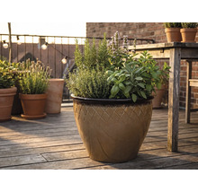 Glasierter Keramik-Pflanztopf mit Rautenmuster auf einer Holzterrasse, bepflanzt mit Rosmarin, Thymian, Basilikum, Salbei und Minze.