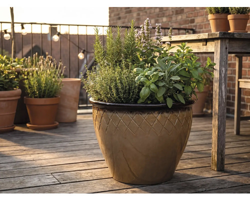 Glasierter Keramik-Pflanztopf mit Rautenmuster auf einer Holzterrasse, bepflanzt mit Rosmarin, Thymian, Basilikum, Salbei und Minze.