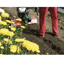 Une motobineuse Agria est utilisée pour le travail du sol dans un parterre de jardin lumineux à côté de fleurs.