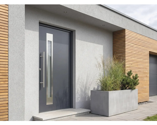 Porte d'entrée moderne anthracite avec vitrage vertical et poignée en acier inoxydable sur une façade avec bardage bois.