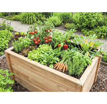 Carré potager surélevé en bois dans un jardin, planté de tomates, poivrons, salades, carottes et herbes aromatiques.