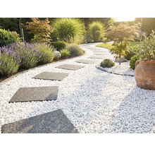 Geschwungener Gartenweg mit grauen Trittplatten in weißem Zierkies, umgeben von Lavendel, Gräsern und einem Terrakottatopf.