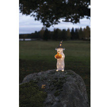 LED-Acrylfigur Maus mit Hexenhut und Kürbis auf einem bemoosten Stein im Außenbereich.