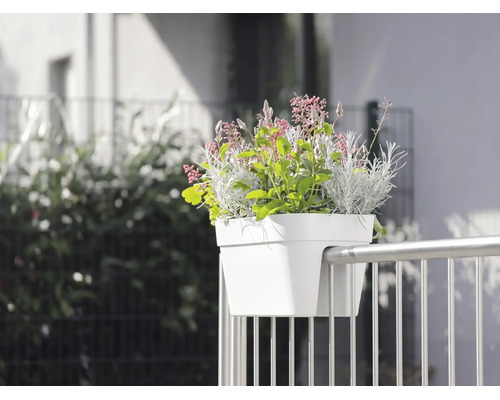 Jardinière de balcon blanche avec diverses plantes fixée à une rambarde métallique.