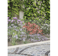 Grillage à mailles fines servant de bordure et de protection pour les fleurs de jardin devant une haie et un chemin pavé.