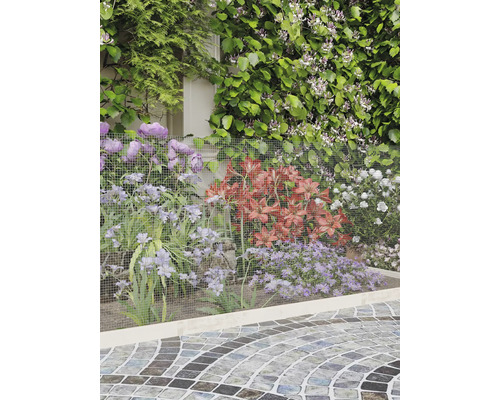 Grillage à mailles fines servant de bordure et de protection pour les fleurs de jardin devant une haie et un chemin pavé.