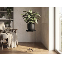Hoher minimalistischer Pflanzenständer aus schwarzem Metall in einem hellen Wohnzimmer mit einer Calathea Pflanze und einem Holzsessel.