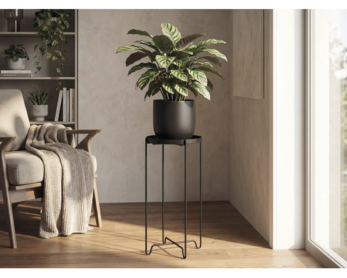 Hoher minimalistischer Pflanzenständer aus schwarzem Metall in einem hellen Wohnzimmer mit einer Calathea Pflanze und einem Holzsessel.
