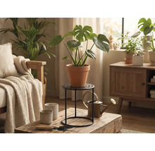 Plante Monstera en pot de terre cuite sur support en métal noir dans un salon lumineux avec table en bois et arrosoir.