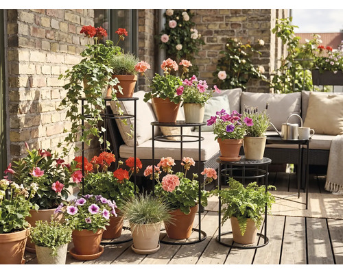 Balcon aménagé avec parquet en bois, mur en briques et plantes en pots sur des supports noirs devant un coin salon de style clair et organisé.