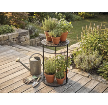 Support à plantes à deux niveaux en métal avec herbes en pots de terre cuite sur une terrasse en bois avec un arrosoir et des outils de jardin.