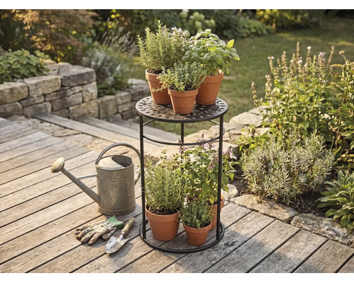 Support à plantes à deux niveaux en métal avec herbes en pots de terre cuite sur une terrasse en bois avec un arrosoir et des outils de jardin.