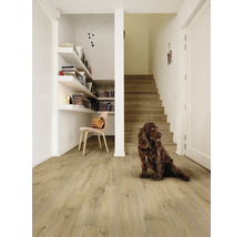Couloir lumineux avec sol stratifié aspect bois, escalier en bois assorti, étagère murale intégrée et un chien brun assis.