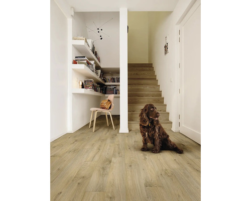 Couloir lumineux avec sol stratifié aspect bois, escalier en bois assorti, étagère murale intégrée et un chien brun assis.