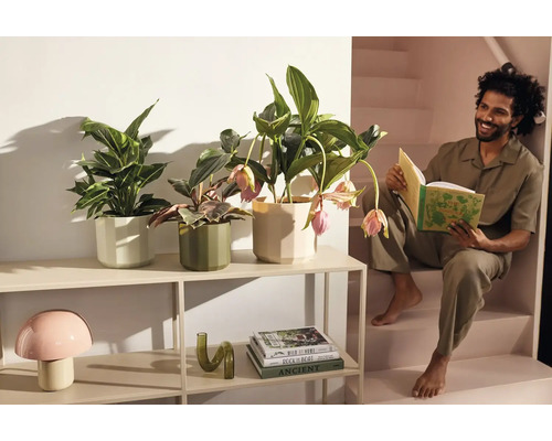 Étagère métallique moderne avec des plantes d'intérieur dans des pots hexagonaux, une lampe champignon et un homme lisant dans les escaliers.