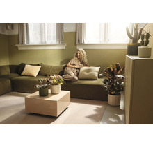 Salon lumineux avec canapé vert olive, femme tenant une tasse, table basse beige et diverses plantes d'intérieur dans un style naturel.