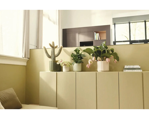 Intérieur de salon lumineux et organisé avec diverses plantes d'intérieur dans des cache-pots posés sur un buffet bas à côté d'une pile de livres.