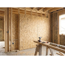 Intérieur de bâtiment brut lumineux avec panneaux OSB sur ossature bois, isolation et établi organisé avec perceuse, marteau et niveau à bulle.