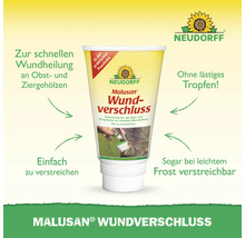 Neudorff Malusan Wundverschluss an der Pinseltube fir Obst- an Ziergehölzer. Einfach ze verstriechen, dropfräi an bei liichtem Frascht anwendbar.