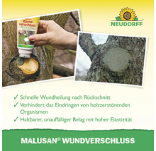 Anwendung von Neudorff Malusan Wundverschluss an einem Baumstamm nach dem Rückschnitt zur Wundheilung und zum Schutz. Neudorff Logo.