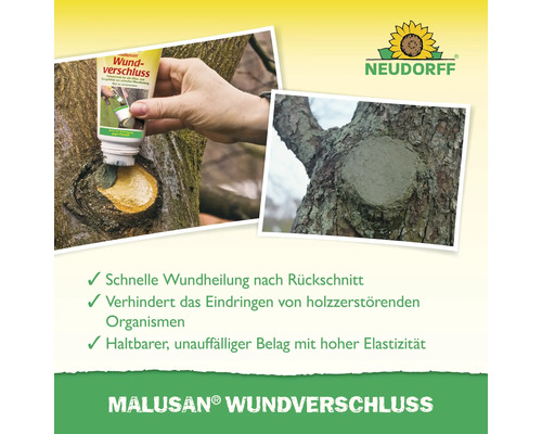 Anwendung von Neudorff Malusan Wundverschluss an einem Baumstamm nach dem Rückschnitt zur Wundheilung und zum Schutz. Neudorff Logo.
