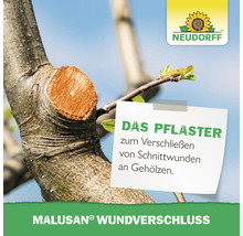 Neudorff Logo, Malusan Wundverschluss als Schutz für Schnittwunden an Gehölzen auf einem Baumstamm.