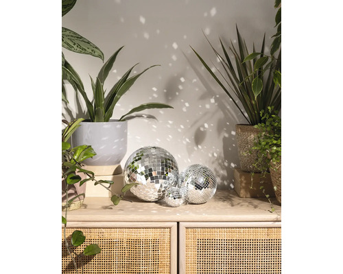 Trois boules à facettes de tailles différentes sur un buffet en bois et rotin, entourées de plantes d'intérieur et de reflets lumineux sur le mur.