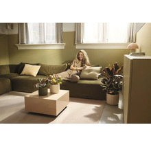 Salon lumineux avec canapé vert, table basse beige et diverses plantes d'intérieur en pots.